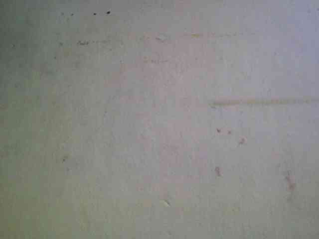 Ashni1 webcam