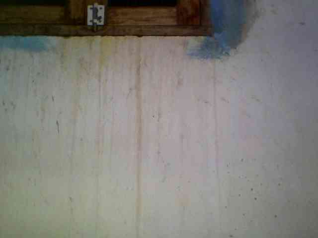 Ashni1 webcam