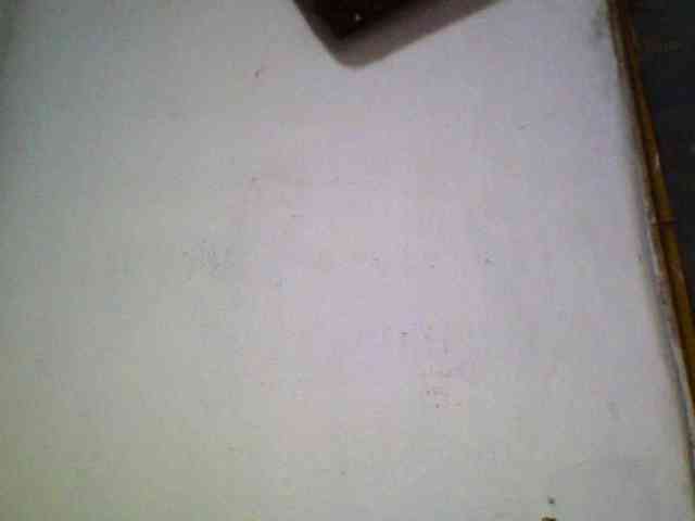 Ashni1