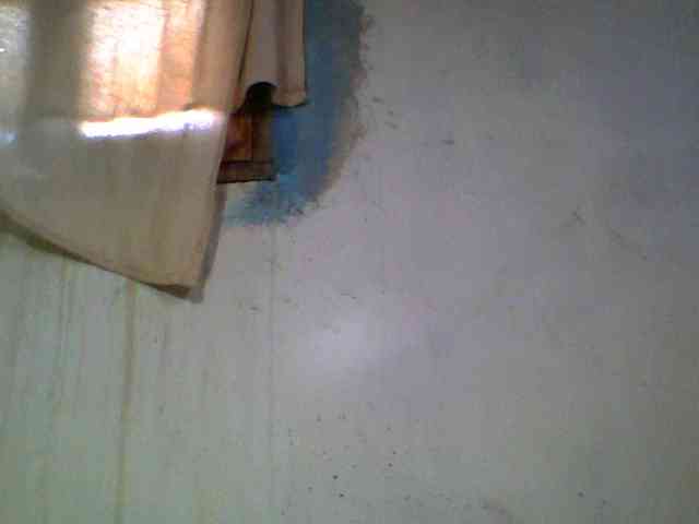 Ashni1 webcam