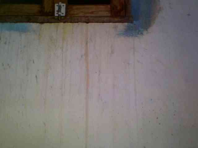 Ashni1 webcam