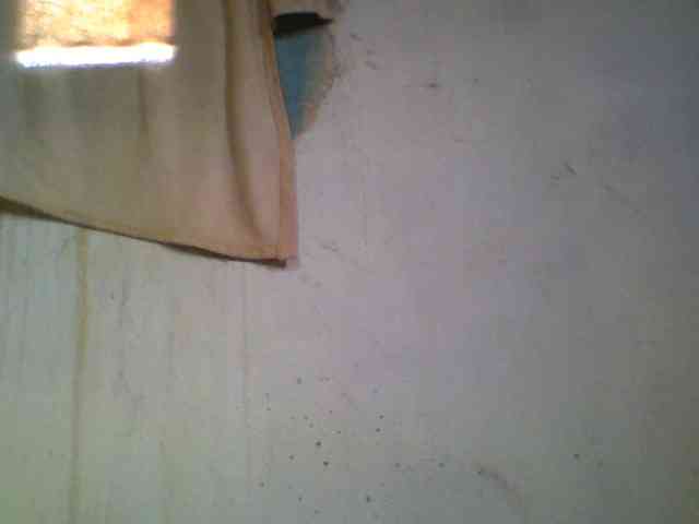 Ashni1 webcam