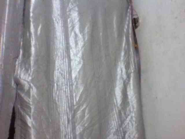 Ashni1