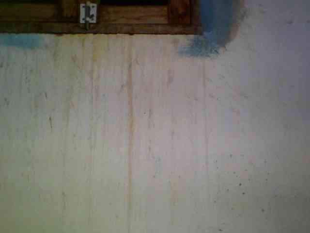 Ashni1 webcam
