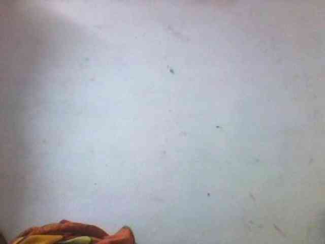 Ashni1 webcam