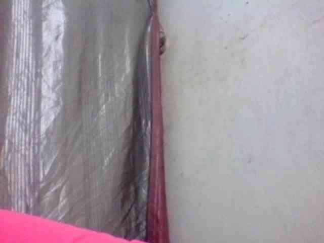 Ashni1 webcam
