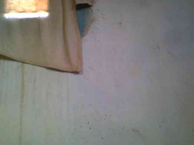Ashni1
