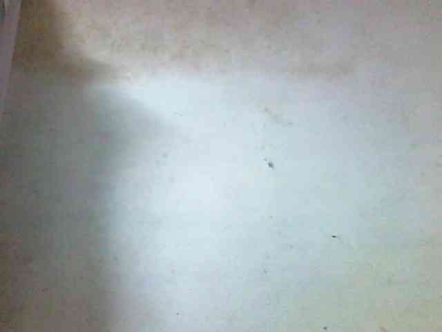 Ashni1