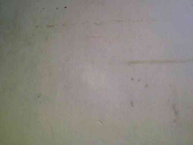 Ashni1 webcam