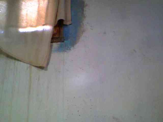 Ashni1 webcam