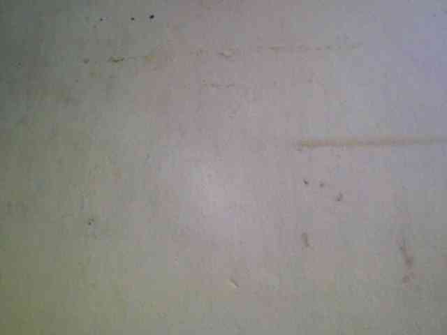 Ashni1 webcam