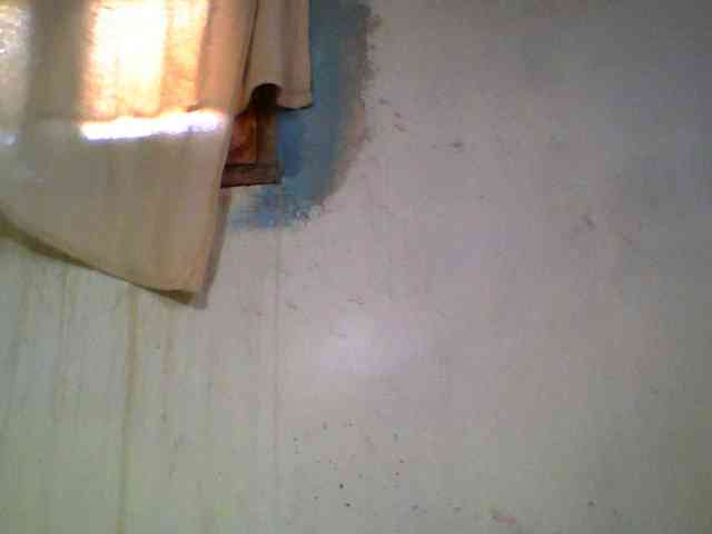 Ashni1 webcam