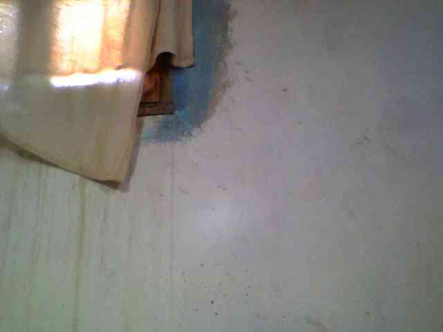 Ashni1 webcam