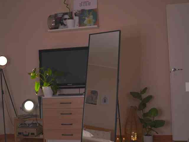 DinaWonder webcam