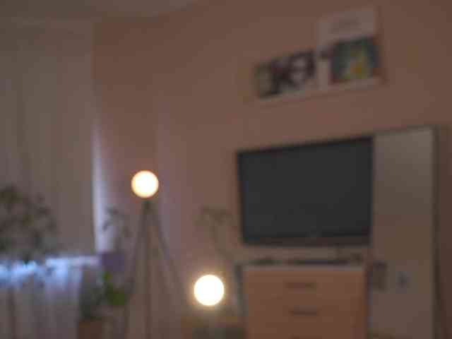 DinaWonder webcam