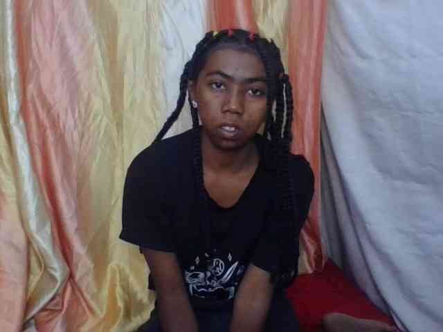 Harliva webcam