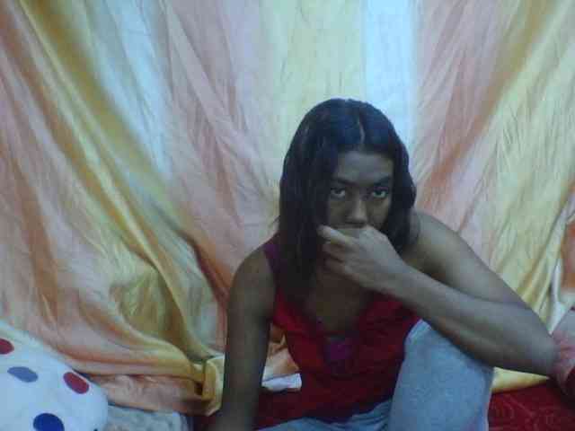 Harliva webcam