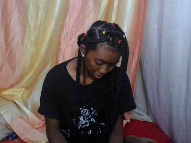 Harliva webcam