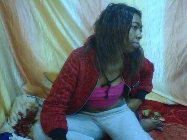 Harliva webcam