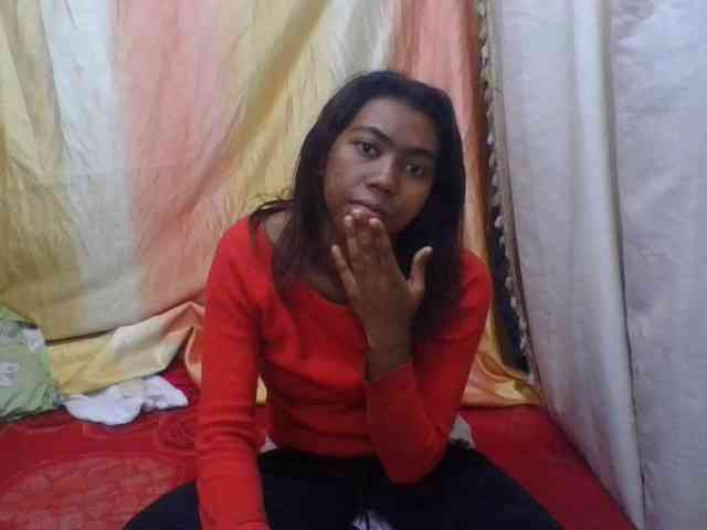 Harliva webcam