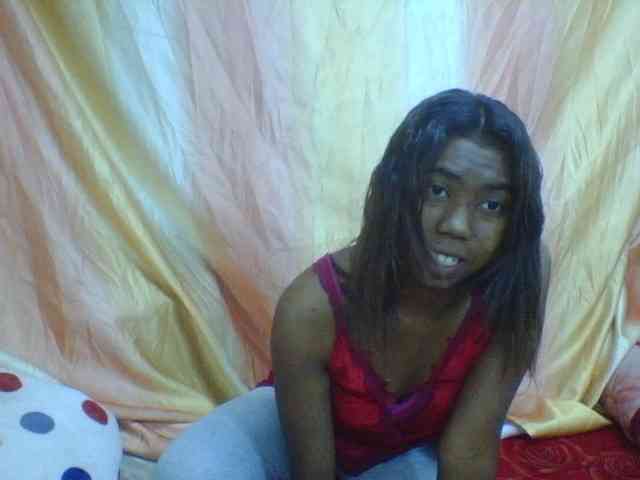 Harliva webcam