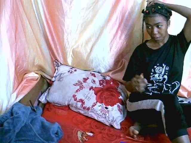 Harliva webcam