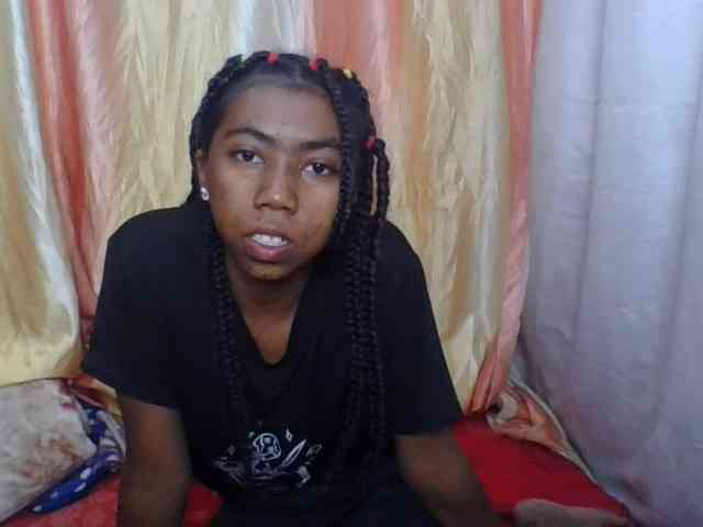 Harliva webcam