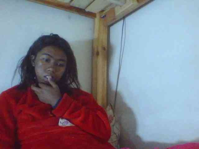 Harliva webcam