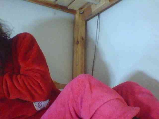 Harliva webcam
