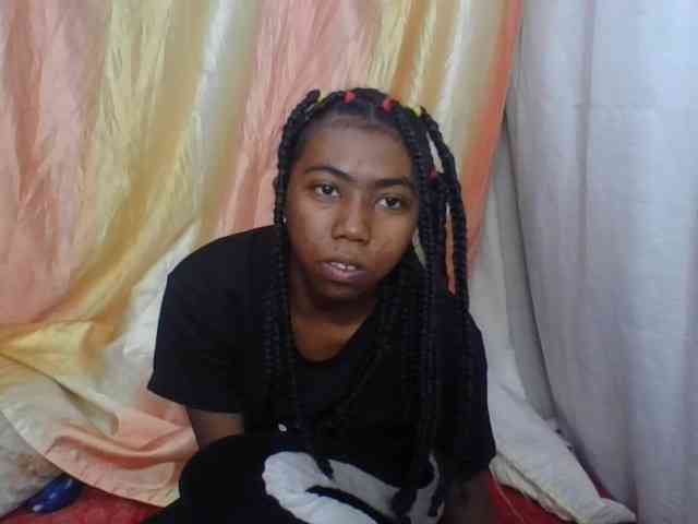 Harliva webcam