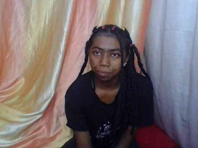 Harliva webcam