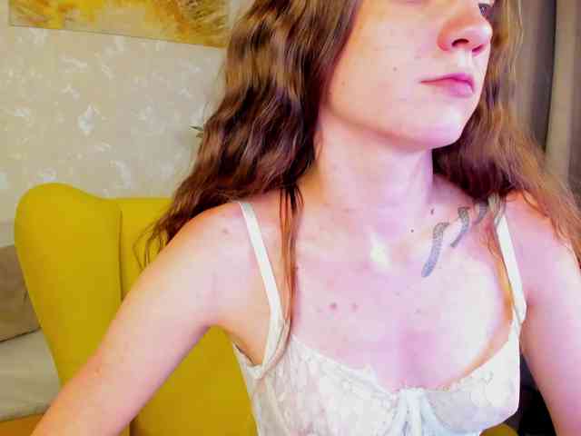 EllaFex webcam