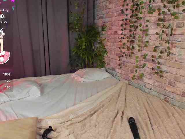 EllaFex webcam