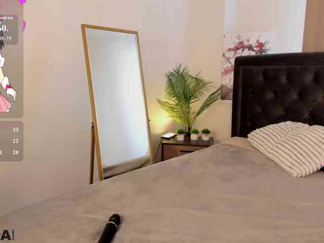 EllaFex webcam