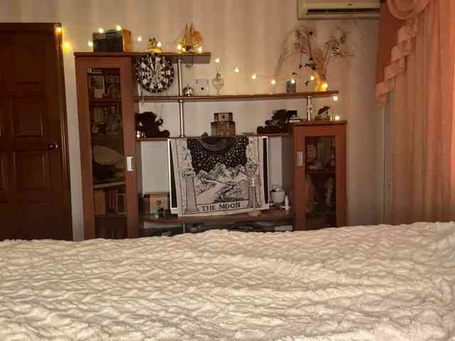 MarcellKanis webcam