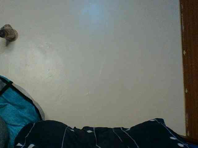 Hunnybloom webcam