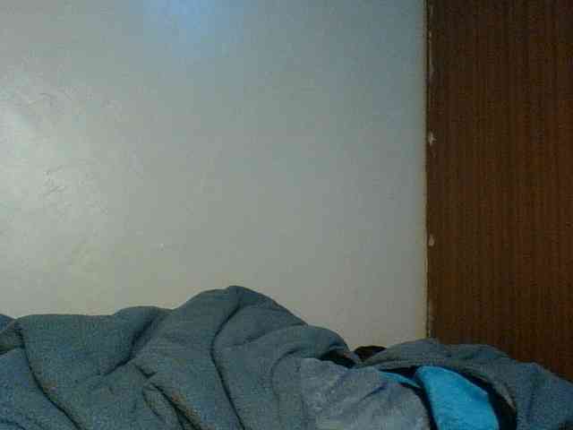 Hunnybloom webcam