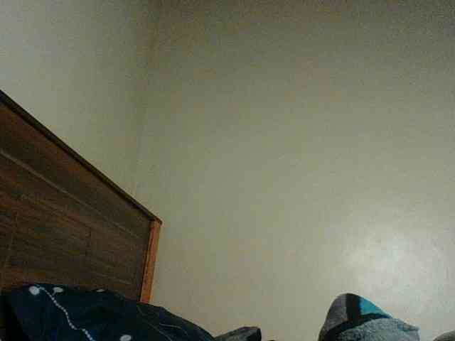 Hunnybloom webcam