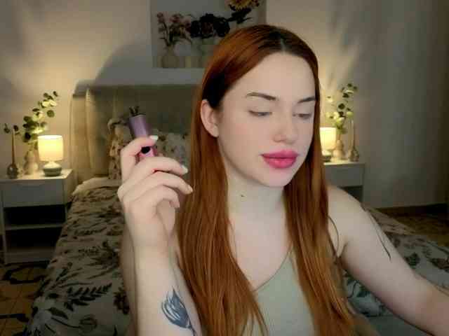 A-R-T-A- webcam