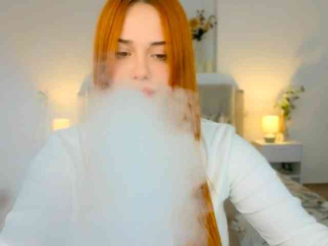 A-R-T-A- webcam