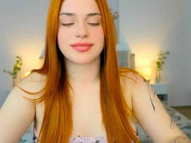 A-R-T-A- webcam