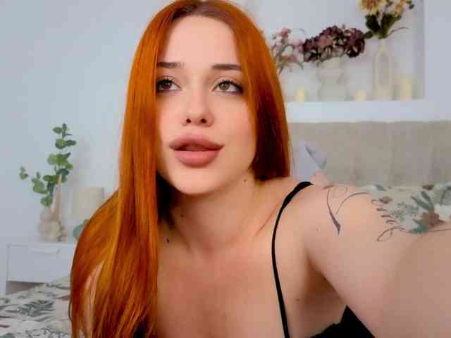 A-R-T-A- webcam