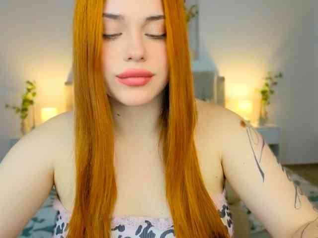 A-R-T-A- webcam