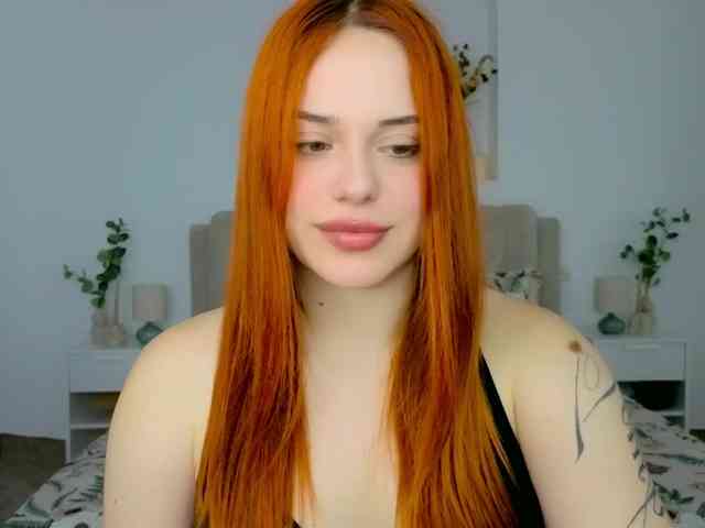 A-R-T-A- webcam