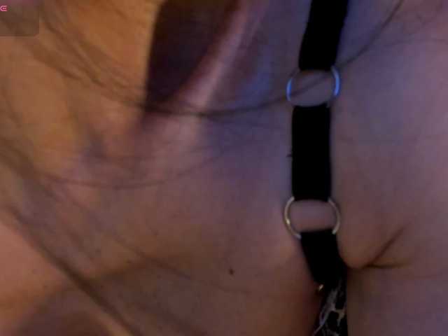 JessiVelvet live cam on BongaCams
