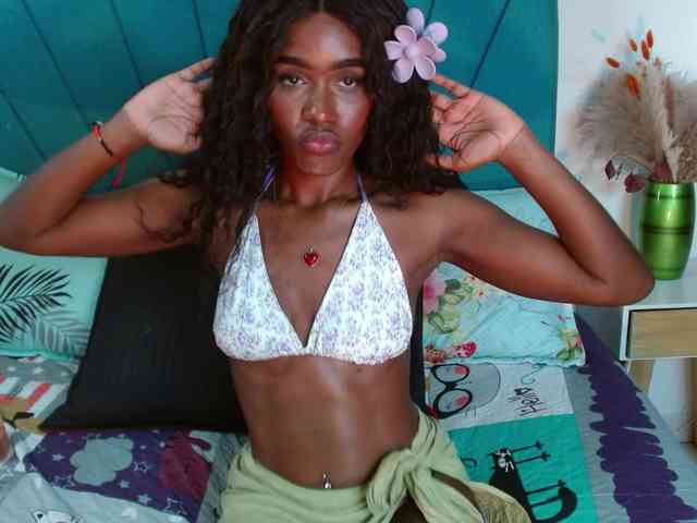 Day-wish webcam