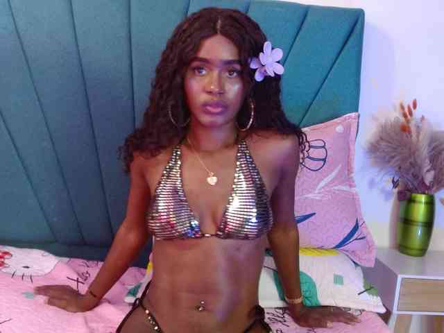 Day-wish webcam
