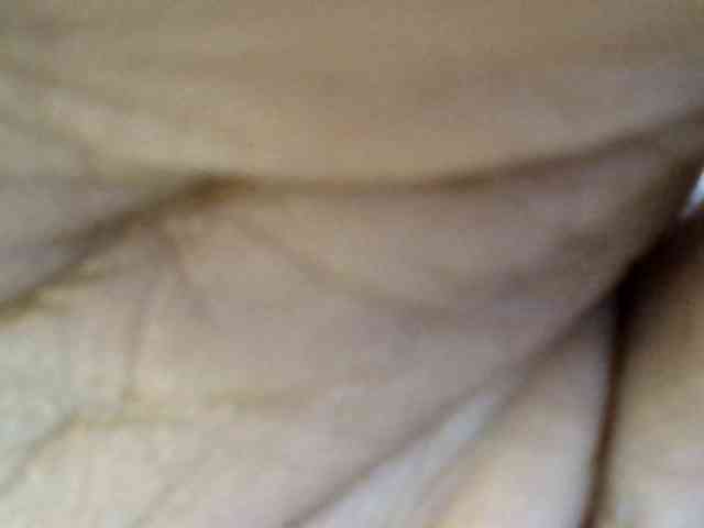 Girls-next-door webcam