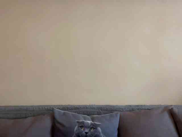 elena2026 webcam