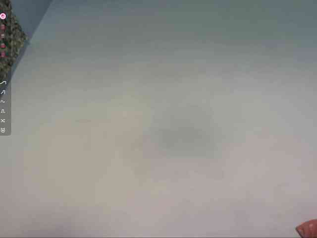 AngellaDingell webcam